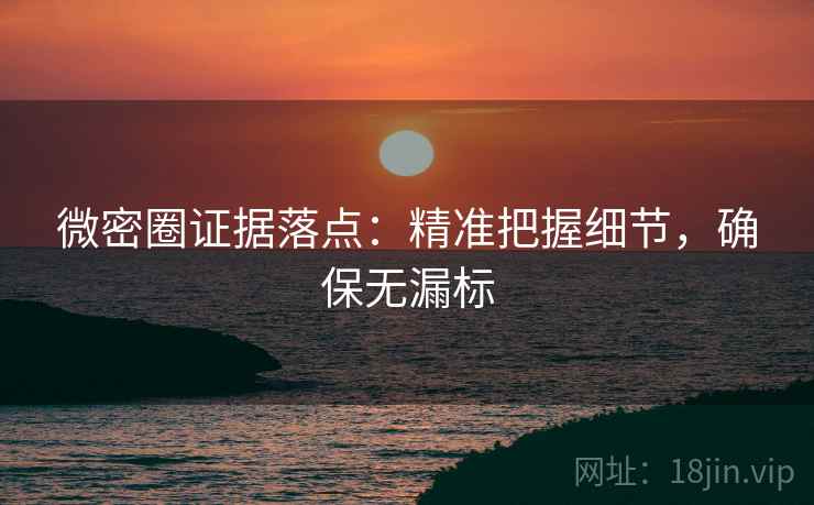 微密圈证据落点:精准把握细节,确保无漏标