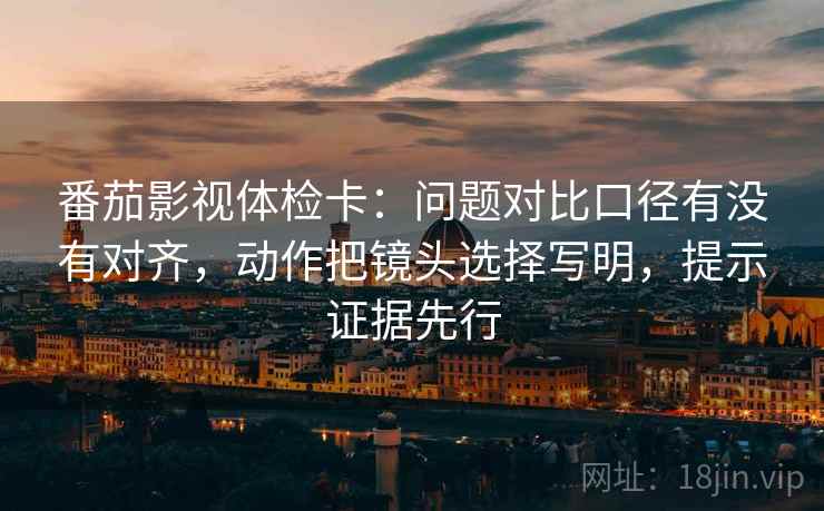 番茄影视体检卡：问题对比口径有没有对齐，动作把镜头选择写明，提示证据先行