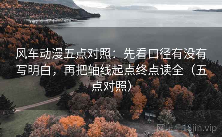 风车动漫五点对照：先看口径有没有写明白，再把轴线起点终点读全（五点对照）