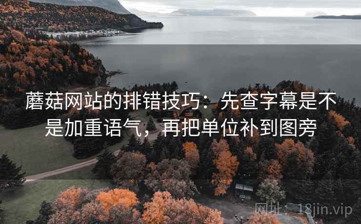 蘑菇网站的排错技巧：先查字幕是不是加重语气，再把单位补到图旁