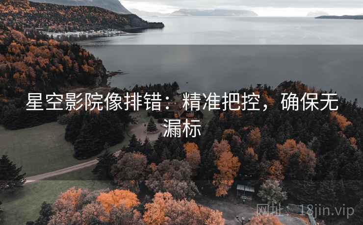 星空影院像排错：精准把控，确保无漏标