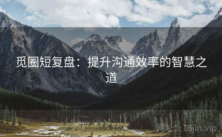 觅圈短复盘：提升沟通效率的智慧之道