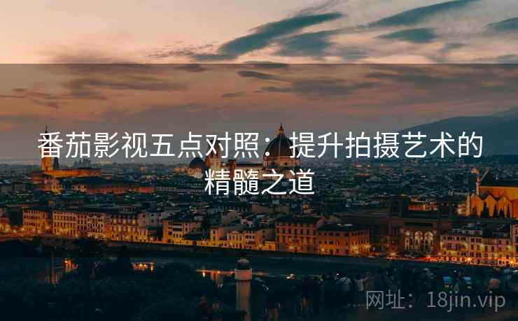 番茄影视五点对照：提升拍摄艺术的精髓之道  第1张